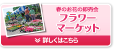 春のお花の即売会　フラワーマーケット