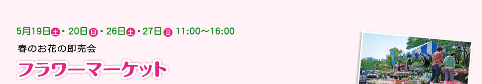 5月19日［土］･20日［日］・26日［土］･27日［日］11:00～16:00 春のお花の即売会 フラワーマーケット