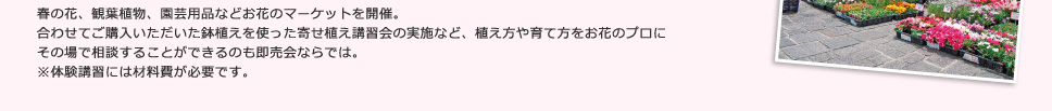 春の花、観葉植物、園芸用品などお花のマーケットを開催。
合わせてご購入いただいた鉢植えを使った寄せ植え講習会の実施など、植え方や育て方をお花のプロにその場で相談することができるのも即売会ならでは。※体験講習には材料費が必要です。