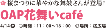 桜まつりに華やかな舞妓さんが登場!OAP花舞いcafé 4/14  ◎時間:11:00～16:00 ◎場所:桜広場