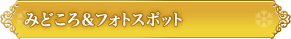 みどころ＆フォトスポット