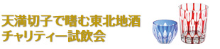 BrightChristmas 2011 点灯式